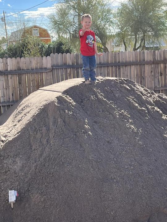 Kid standing on top of a fresh pile of wood chips from a tree job