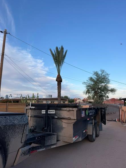 Dump trailer loaded at a palm trimming job